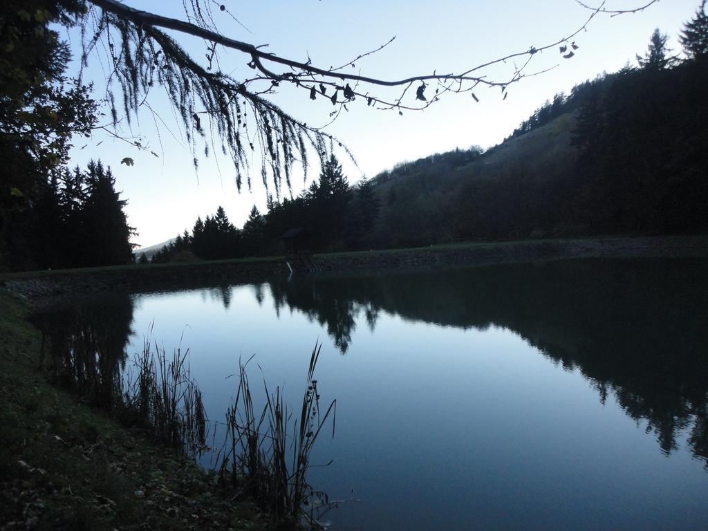 Ubytovanie Marina Banská Štiavnica Zewnętrze zdjęcie